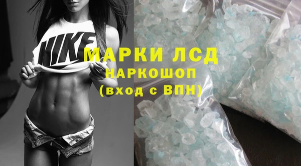 шишки Вяземский