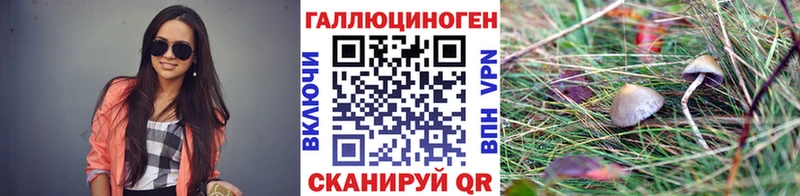 Галлюциногенные грибы MAGIC MUSHROOMS  что такое наркотик  Лукоянов 